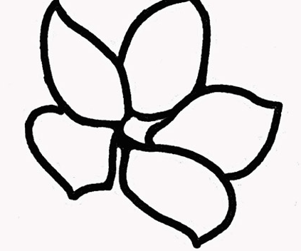 �ڰ屨ӣ����ʻ�