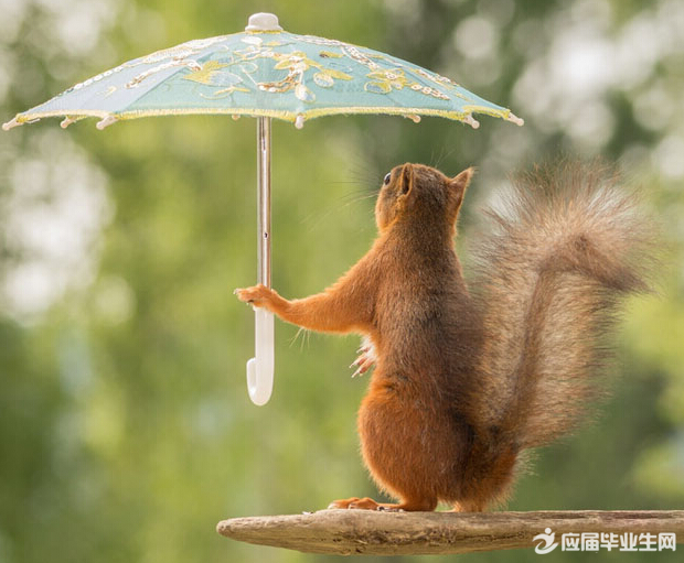 那倾斜的伞阅读答案 那倾斜的伞阅读答案