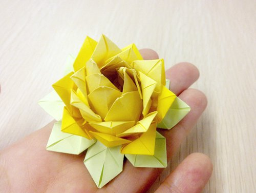 ֽ�������ֹ���ֽ����