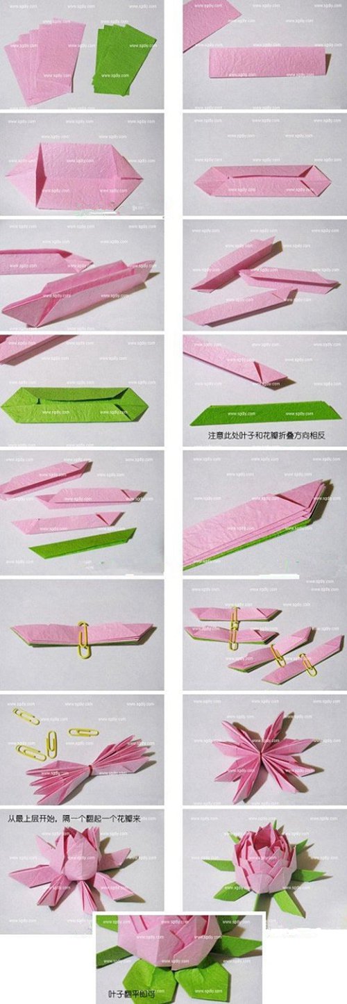 ֽ�������ֹ���ֽ����