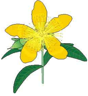 �ڰ屨�廭���ز�