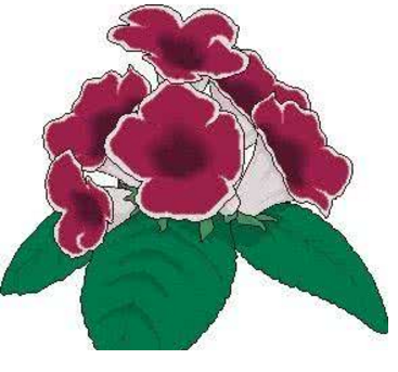 �ڰ屨�廭���ز�