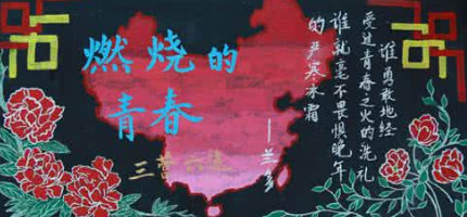 ����ĵ���ڰ屨