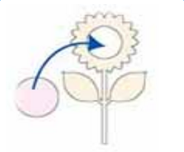 儿童简单剪纸步骤图解