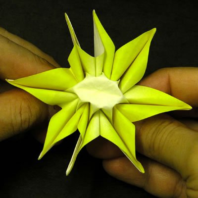 ̫�������ֹ���ֽ