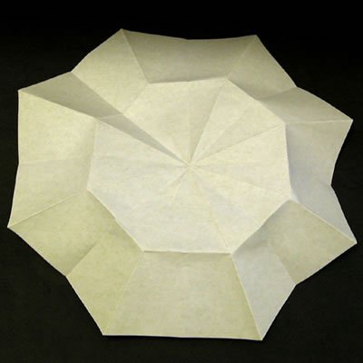 ̫�������ֹ���ֽ