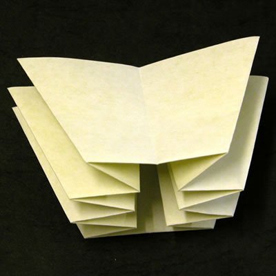 ̫�������ֹ���ֽ