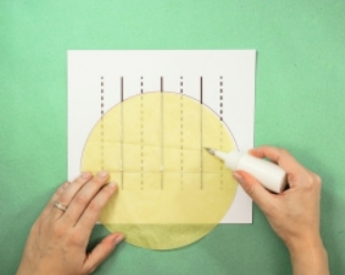 ���ѵ�����������ͼ��