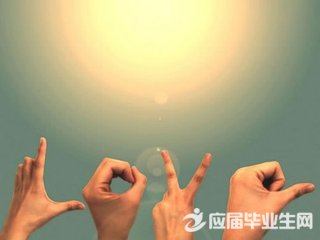 2017��������������¼