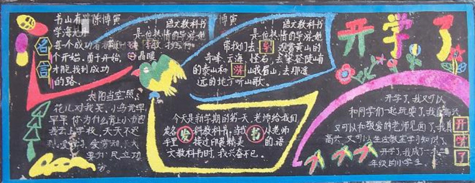 ��һ��ѧ��һ��ڰ屨