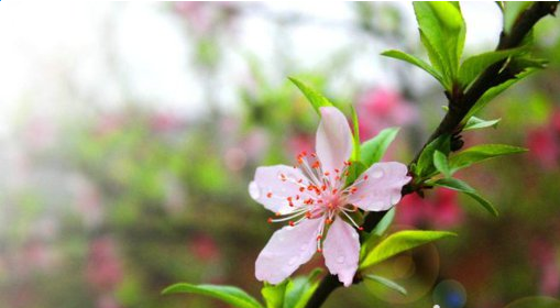 ����ʮ�ﲻ������¼