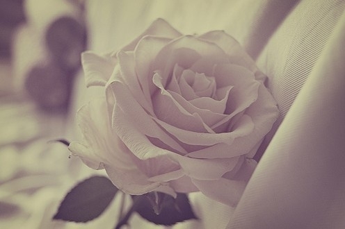 �����伣���