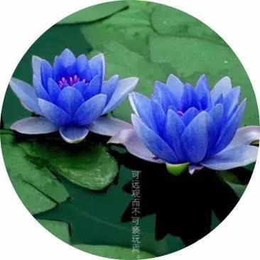 ��ܰ�簲�������