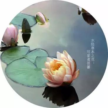 ��ܰ�簲�������