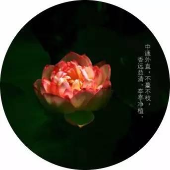 ��ܰ�簲�������