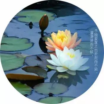 ��ܰ�簲�������