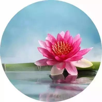 ��ܰ�簲�������