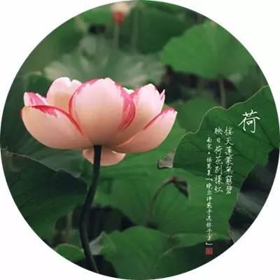 ��ܰ�簲�������