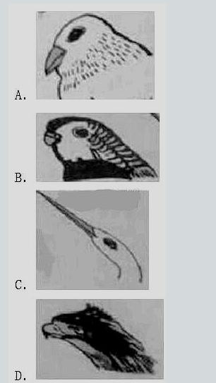 �׶���ʦ�����⼰��