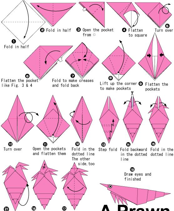对虾手工折纸教程