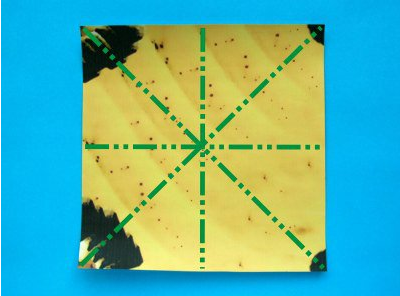 �㽶�ֹ���ֽ�̳�