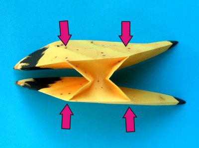 �㽶�ֹ���ֽ�̳�