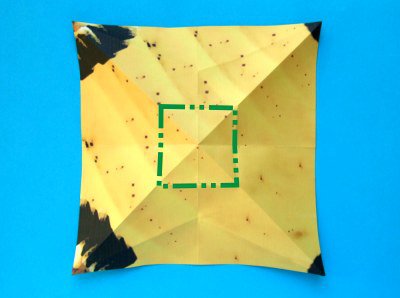 �㽶�ֹ���ֽ�̳�