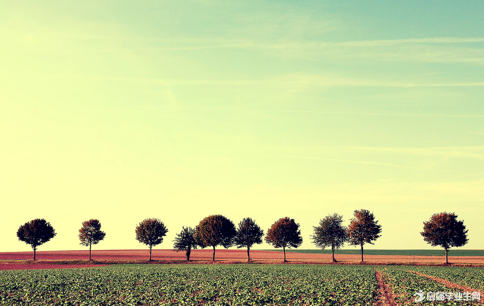 ������Ƣ���