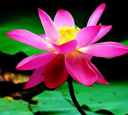 �ɻ���ֽ����ͼ��