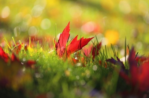 �＾��ף����������