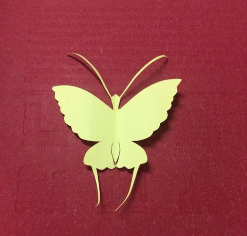 幼儿简单剪纸蝴蝶步骤