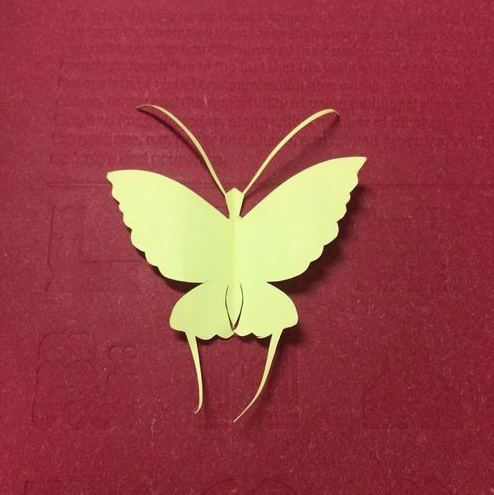 幼儿简单剪纸蝴蝶步骤