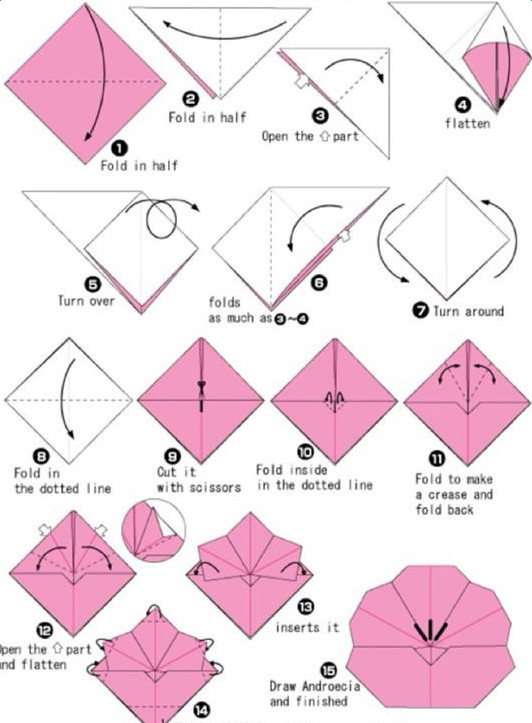 ÷���ֹ���ֽͼ��̳�