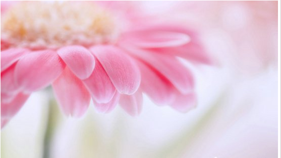 2017����־����¼