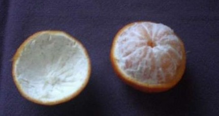 С�۵��ֹ���ֽ�����̳�