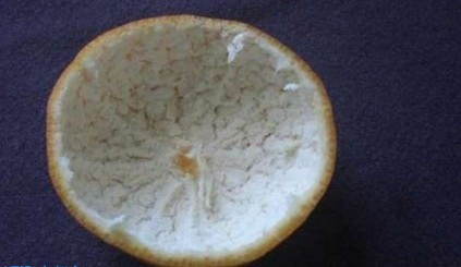 С�۵��ֹ���ֽ�����̳�