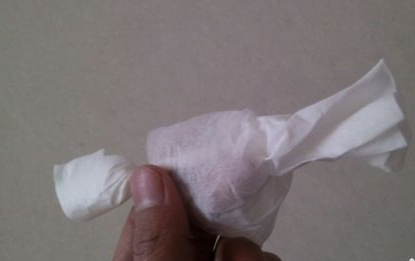 用餐巾纸折玫瑰花图解