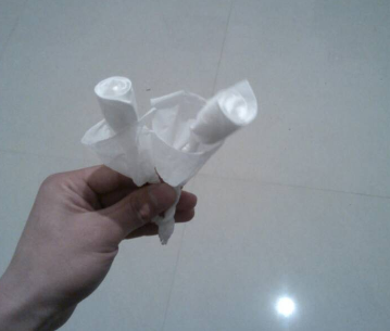用餐巾纸折玫瑰花图解