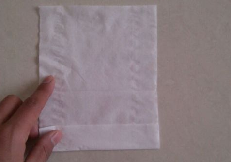 用餐巾纸折玫瑰花图解