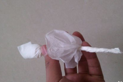 用餐巾纸折玫瑰花图解