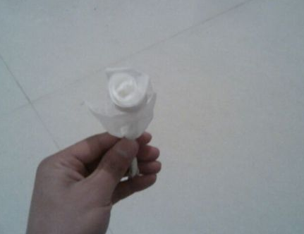 用餐巾纸折玫瑰花图解