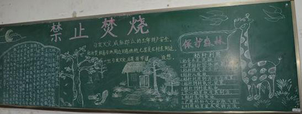 ��ֹ���պڰ屨