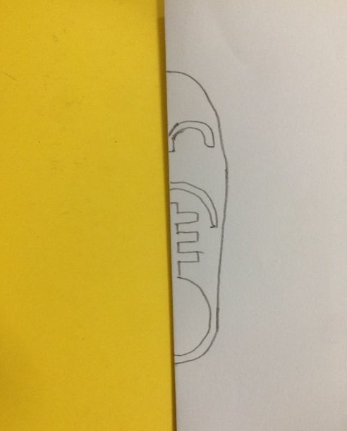 Ь�ӵļ�ֽ�̳̼�ͼ��