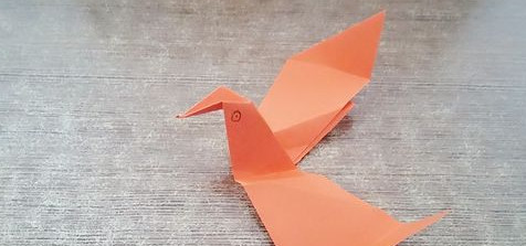 ��ֽ��ô�����