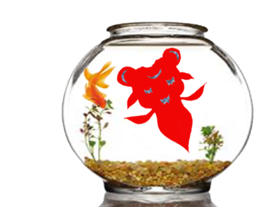 �㴰����ֽ�̳�