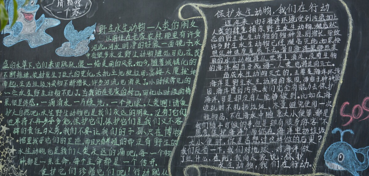 ����Ұ������ڰ屨����