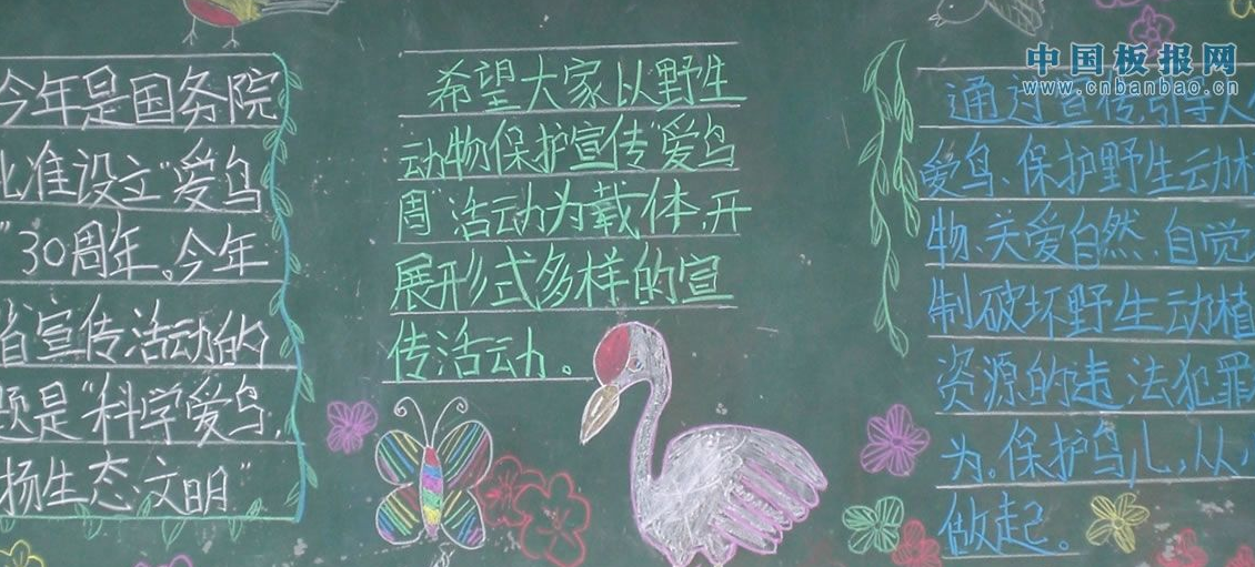 ����Ұ������ڰ屨����