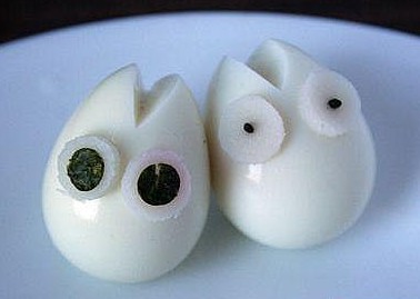 �̵����˵��ֹ���ֽ�̳�