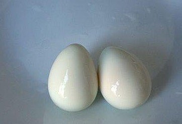 �̵����˵��ֹ���ֽ�̳�