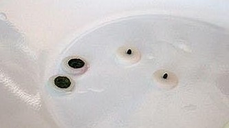 �̵����˵��ֹ���ֽ�̳�